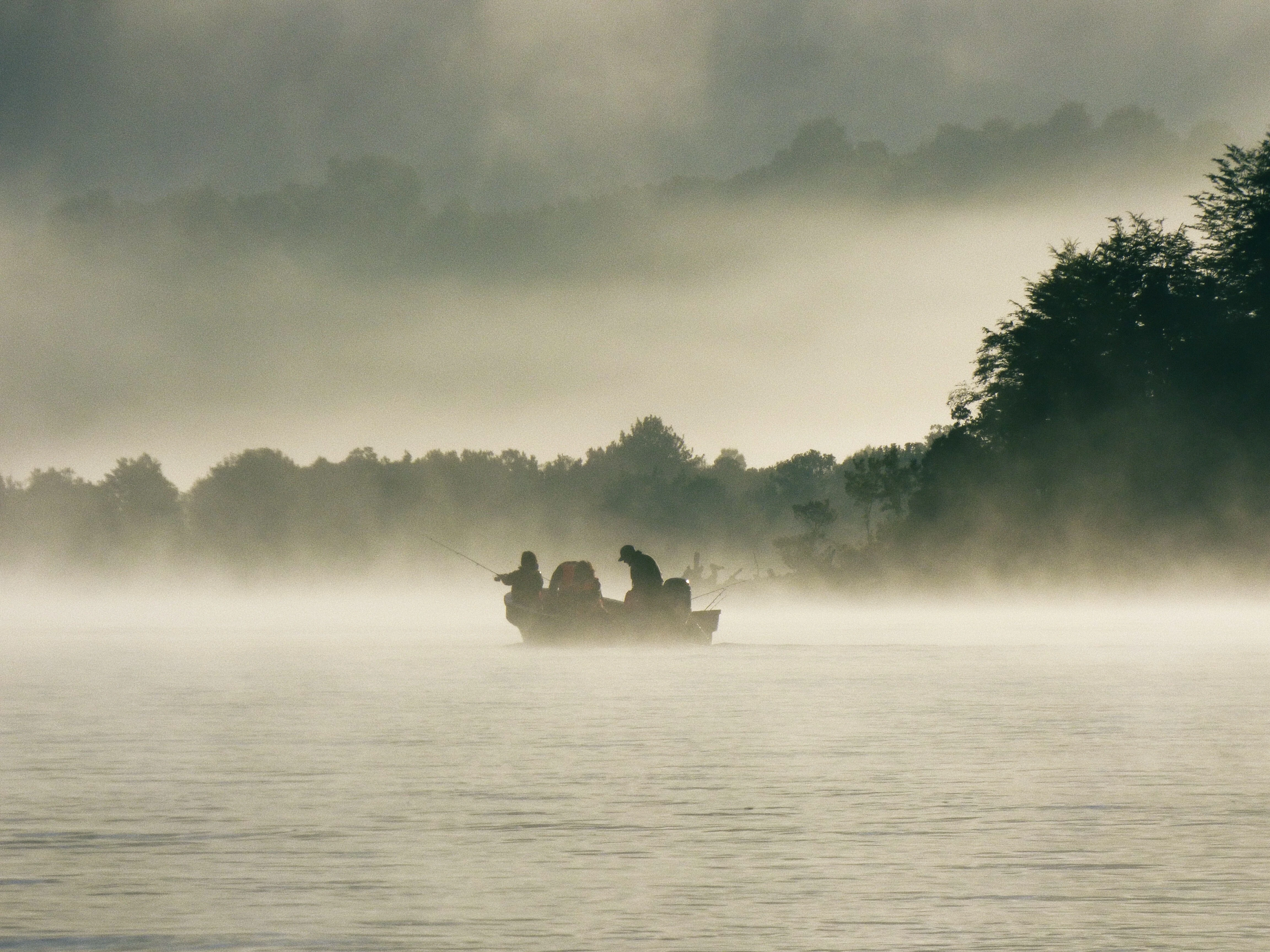 Paisaje del sur — fiordo