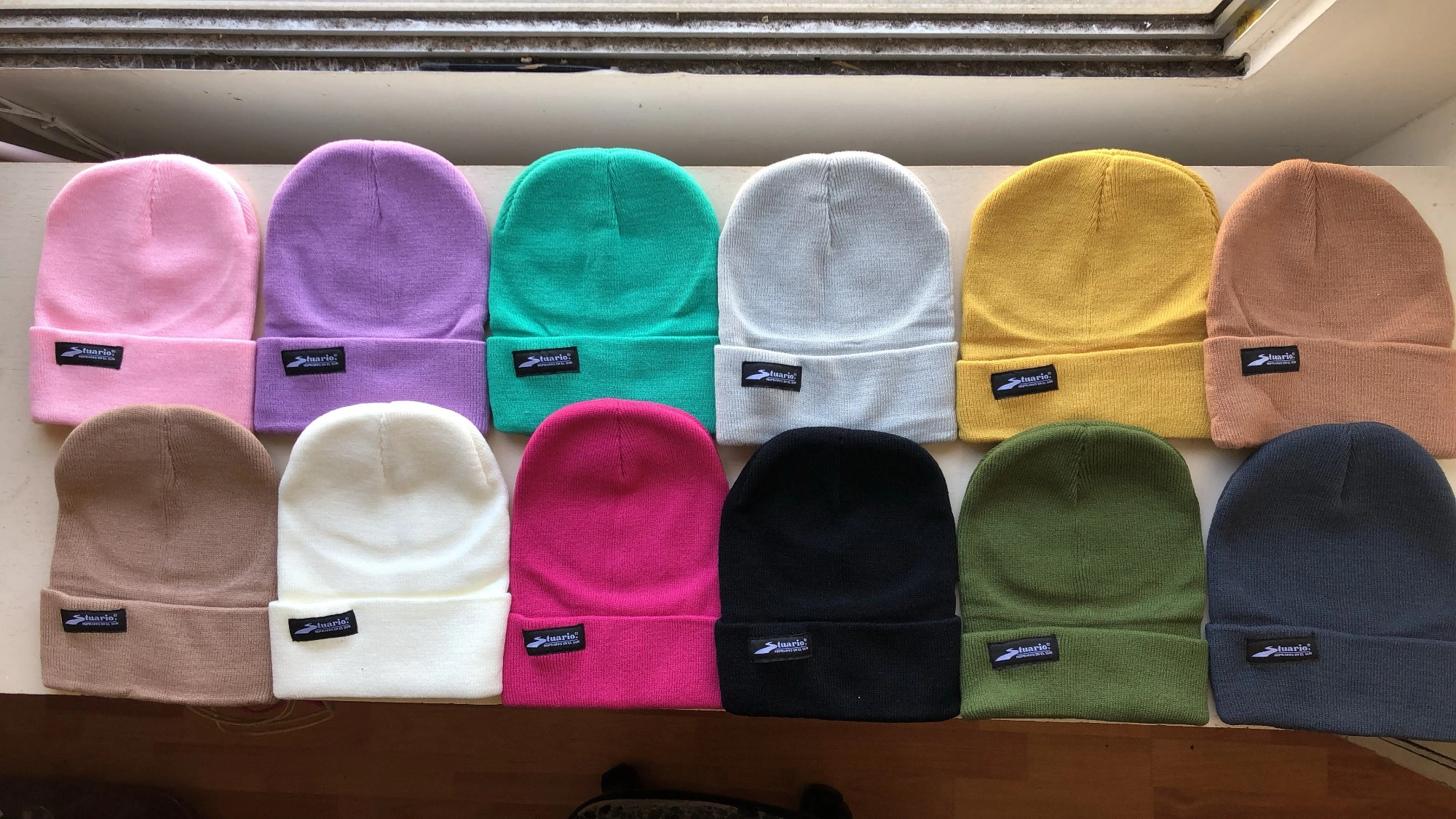 Paisaje — bosque templado