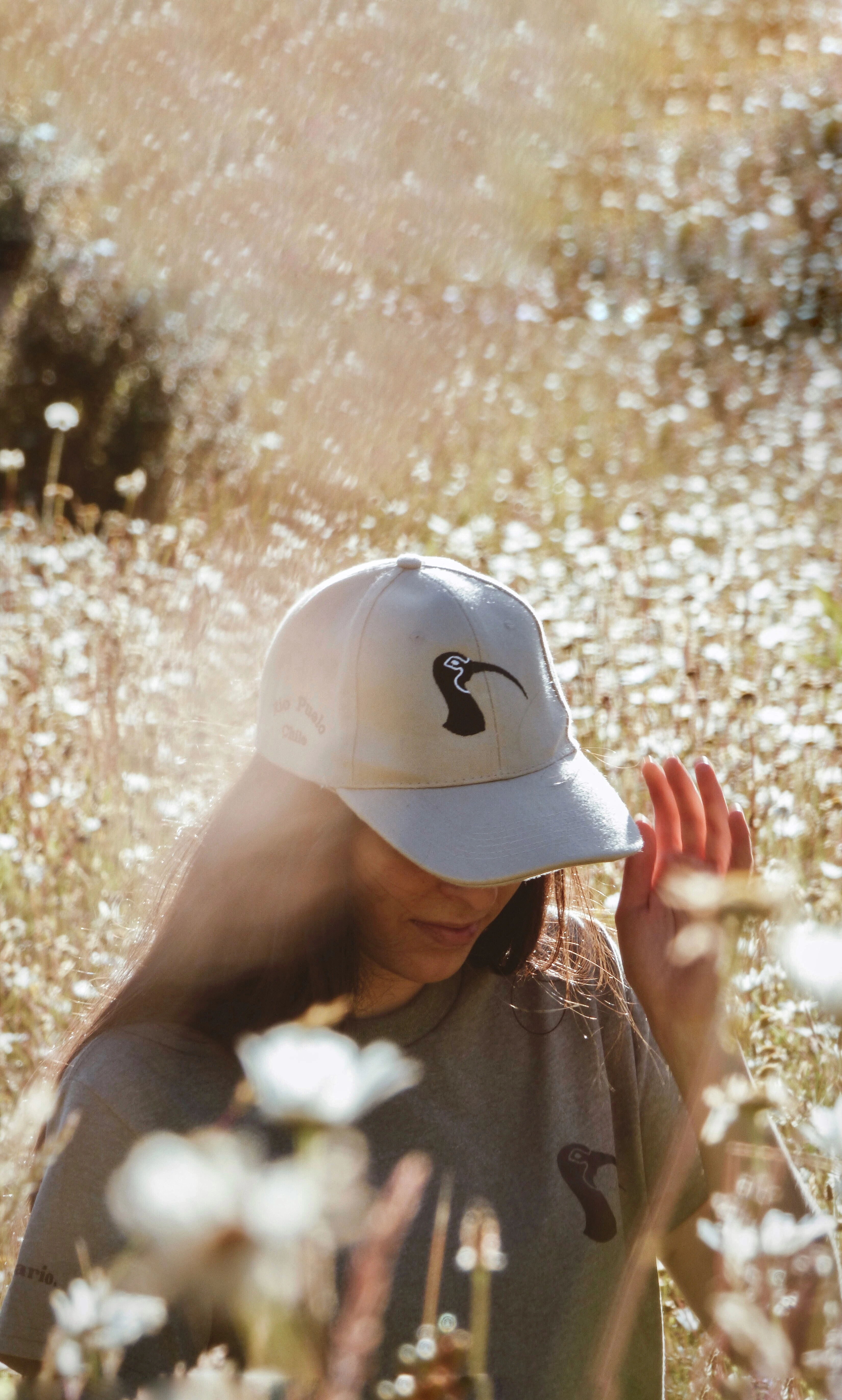 Hojas de lenga en otoño